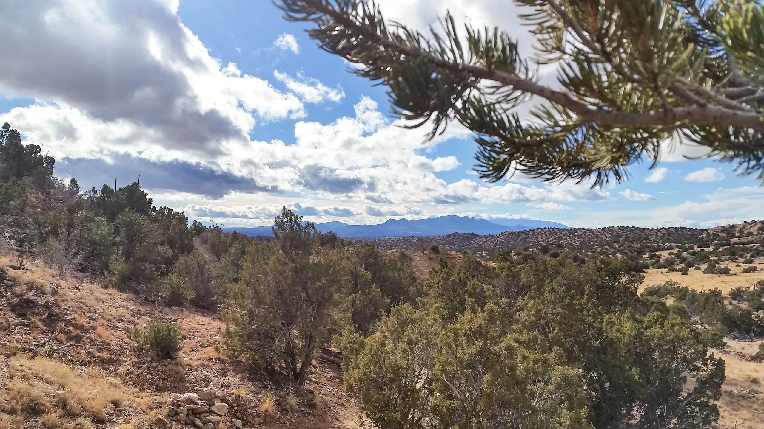 View of hills from Galisteo Preserve trails, Galisteo