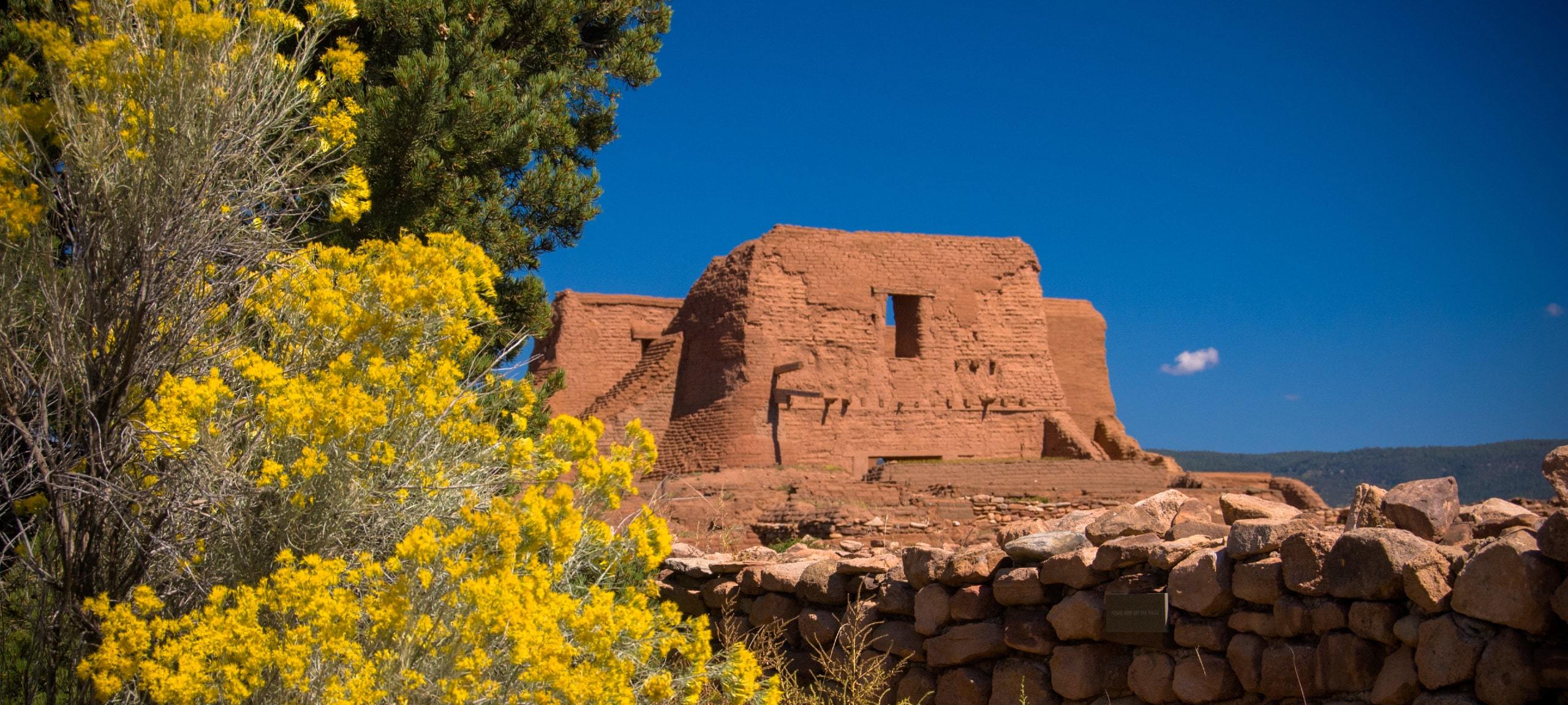 Flowers and ruins at Pecos National Historical Park, Pecos