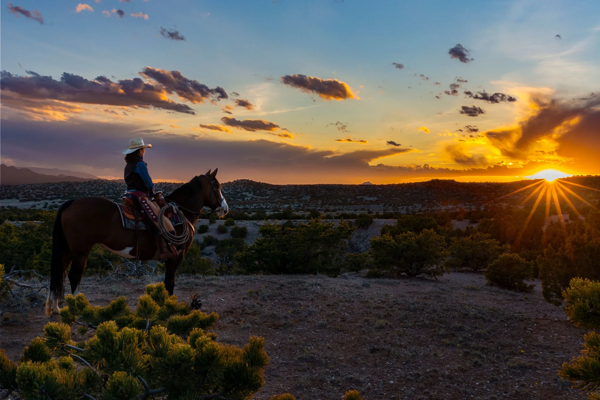 Woman on horse in New Mexico at sunset